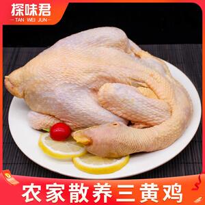 三黄鸡冷冻2只