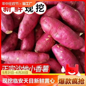临安天目小香薯红薯新鲜黄心果蔬地瓜海南番薯山芋特产500克食用