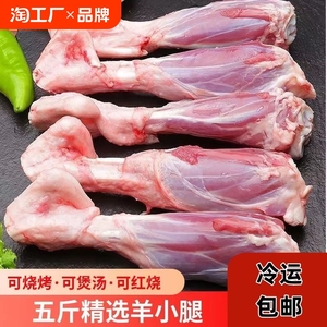 新鲜现杀羊小腿整根带骨羊腱子冷冻生羊肉羊后腿烧烤食材可商用