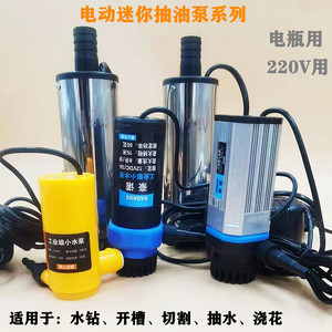 微型潜水泵小水泵水钻机 开槽机 配件220V12V24V直流抽水泵柴油泵