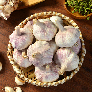 山东干大蒜2斤大蒜多瓣大蒜种白皮包邮