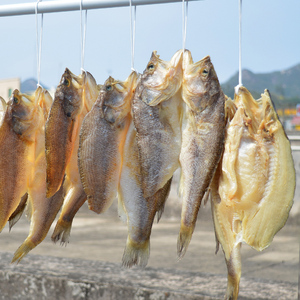 广东渔农自晒咸鱼干深海黄花鲞鱼干开边腊鱼非烟熏海鲜特产干货