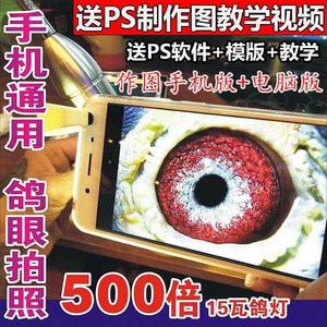 鸽眼拍照神器手机专用放大镜高清看鸽子眼灯专业赛鸽信鸽用品用具