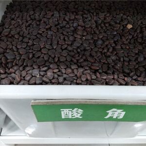 酸角种子 酸豆 罗望子酸梅 木罕 甜目坎麻夯种 甜角种子蔬菜种籽