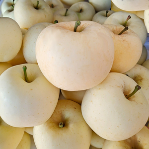 富士苹果奶油鲜果新鲜现摘白苹果应季水果黄苹果黄金果牛奶萍果