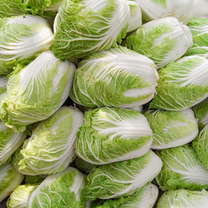 山东大白菜新鲜蔬菜包邮爱心吃货叶菜类助农家菜青菜5斤