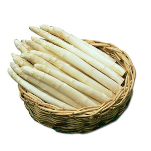 餐饮生鲜 蔬菜 竹笋类 芦笋自产