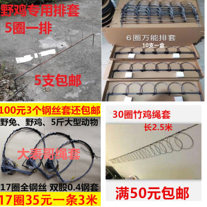 观赏竹鸡笼养殖竹鸡斑鸠白面水鸡鹧鸪毛鸡鸟笼工具全套网罩笼套子