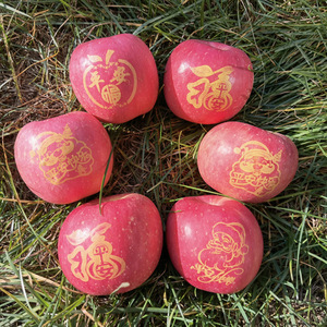 带字苹果 平安夜平安果  刻字苹果 晒字苹果 贴字苹果 印字苹果