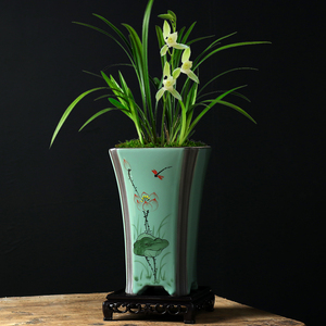 盆栽精品高盆室内君子兰花盆束腰大口径陶瓷花卉兰花花盆16人付款48