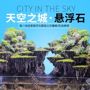 401人付款天猫天空之城松皮石假山青龙石鱼缸造景套餐装饰假山石水族