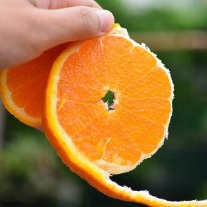 手剥贡橙