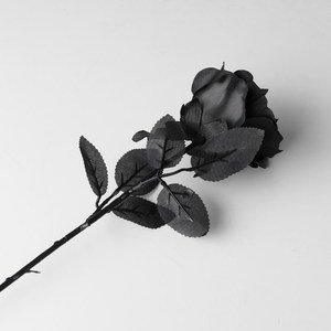 哥特黑玫瑰花拍摄道具黑色假干花束仿真摄影背景装饰布景摆件枯萎