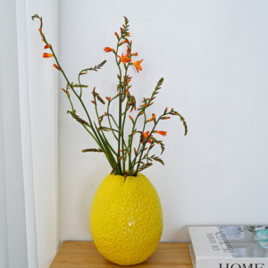 创意设计水果杨桃柚子花瓶陶瓷桌面家居客厅玄关艺术水培小众摆件