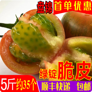 盘锦碱地铁皮柿子西红柿新鲜绿腚鹰爪脆丹东草莓番茄水果5 斤产地