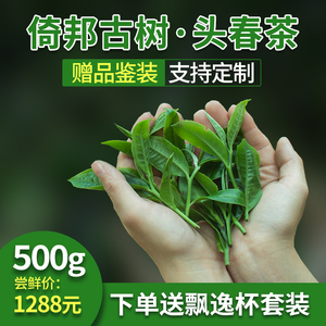 春茶预售古树茶超值体验包问顶旗舰店倚邦一扇磨香椿林景迈