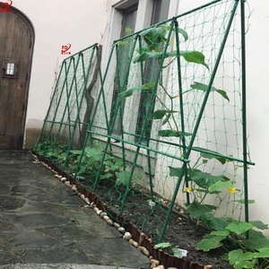 花卉爬藤网植物豆角攀爬网藤蔓牵引瓜果蔬菜种植加粗爬架户外拓展