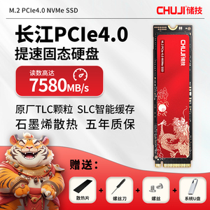 储技 固态硬盘1t长江存储M2 PCIe4.0 SSD笔记本PS5台式电脑2tb