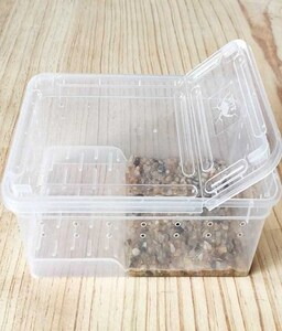 螃蟹宠物养殖盒养小螃蟹专用缸螃蟹缸 养 专用螃蟹养殖盒箱家用