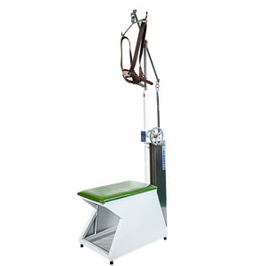 龙氏颈椎牵引椅原装头套kt-ii正品龙氏椅专用龙层花专利