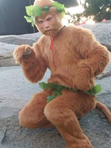 猴王出世服装毛猴衣服猴子孙悟空齐天大圣长毛猴子u衣服面具手套