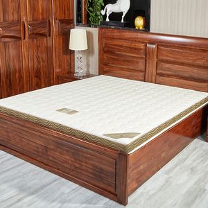 天坛家具椰棕床垫偏硬薄款15米18m棕垫单双人护脊席梦思经济型