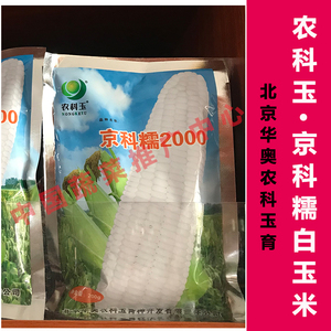 北京华奥 农科玉牌 京科糯2000白玉米种子 京科糯928玉米种籽200g