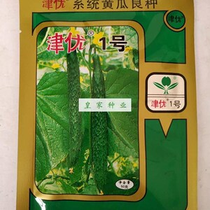 津优1号黄瓜