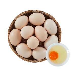 湖北恩施高山富硒 新鲜放养农家鸡蛋草柴五黑绿壳乌鸡蛋土鸡蛋
