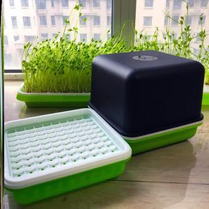 育种盘花生芽发芽神器育苗盘种植箱专用盒发花生芽盆培育发芽机