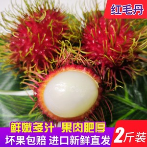 当季泰国越南进口红毛丹毛荔枝新鲜毛丹热带水果毛丹果两斤装