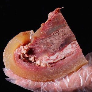 新鲜生牛头肉