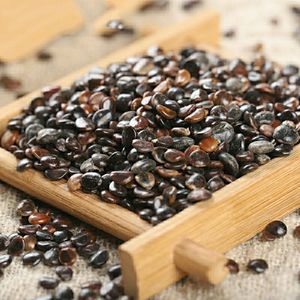 枳椇子 正品枳椇子茶解酒中药材包邮 枳具子另有葛根