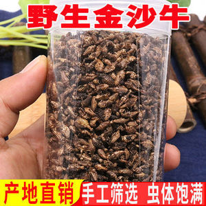 金沙牛中药材地牯牛整只倒退虫蚁狮金砂牛特级水洗金沙牛粉