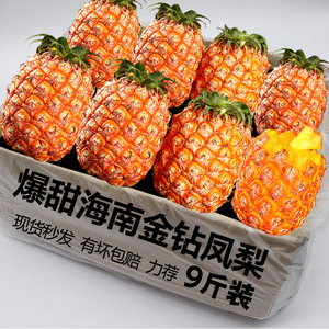 海南金钻凤梨水果当季新鲜大个手撕凤梨菠萝10斤整箱树上熟包邮甜
