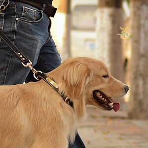狗狗铃铛项圈大型犬中型