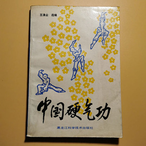 中国硬气功 武术武功硬气功功法强身健体金钟罩铁布衫1988书籍