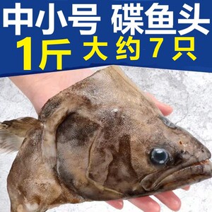 1斤碟鱼头超大比目鱼深海鱼头新鲜冷冻海鱼海鲜水产