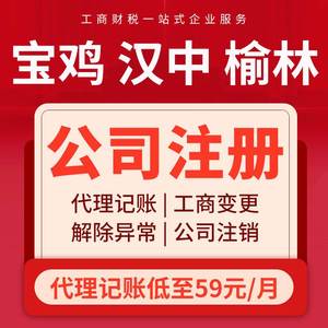 天津公司注册营业执照代办理电商户股权转让注销记账变更地址法人