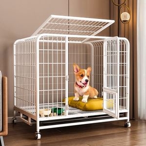 小狗笼子小型犬泰迪狗狗房子柯基专用带厕所分离大狗室内懒人单层