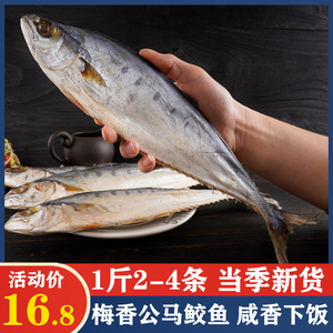 北海梅香蓝点马鲛鱼干新鲜小咸鱼干干货海鱼鲅鱼干广西特产海产品