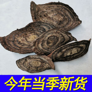 黑骨藤长寿黑色