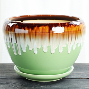 530人付款淘宝菠萝意景纯色陶瓷花盆单个托盘不规则吸水多肉植物大号