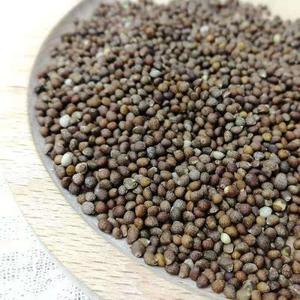 黑苏麻贵州特产引子面酥麻紫苏引籽农家油影子粑粑汤圆芯馅料新货