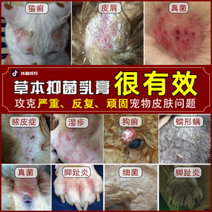 治疗狗狗皮肤病外用药猫藓廯癣专用皮炎瘙痒止痒湿疹真菌感染药膏