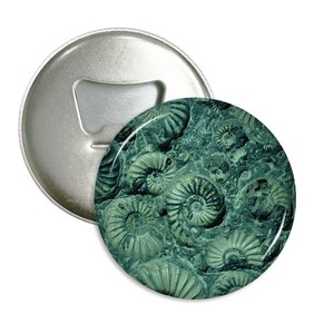 鹦鹉螺菊石化石照片标本圆形开瓶器冰箱贴厨房装饰瓶起子礼物3件