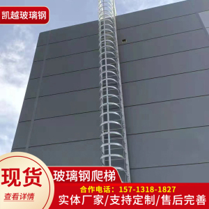 镀锌不锈钢爬梯护笼深井坑工程梯笼玻璃钢带护笼爬梯耐腐蚀平台围