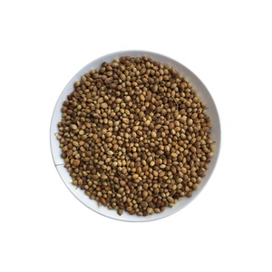 进口芫荽籽国产香菜籽自酿家酿啤酒原料福佳白啤酒酿酒原料1kg