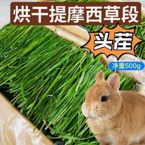 兔子草提摩西草料爱吃的草侏儒宠物兔专食用500g喂小兔子新鲜干草