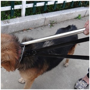 悦积分加粗捕狗网兜捕狗工具神器专用网流浪犬抓捕网流浪狗猫夹持